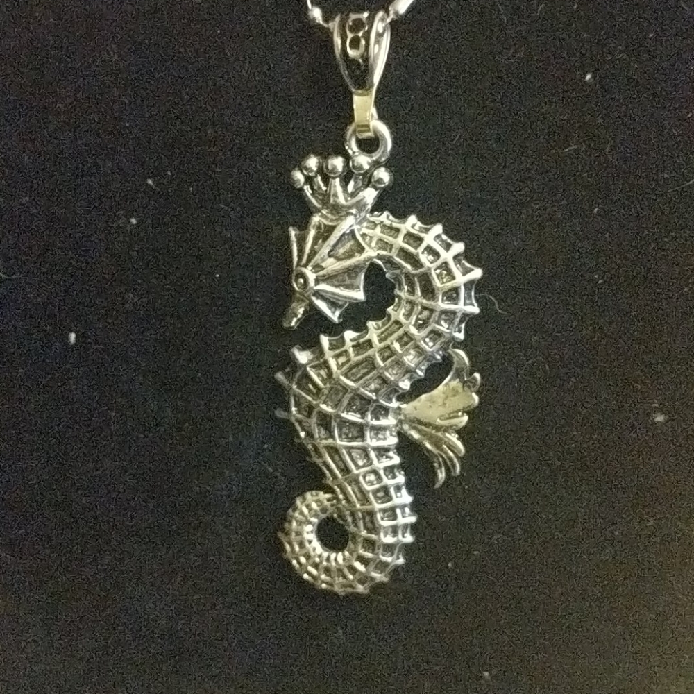 Large Silvertone Seahorse on 20 inch unique chain